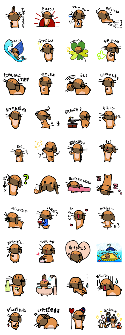 Labuta2