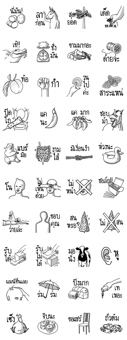 Language of the Image