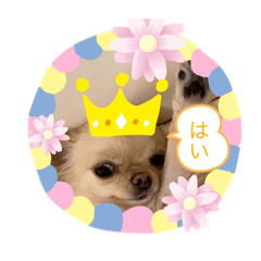 AiLove_20210221121005