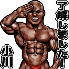 Ogawa dedicated Muscle macho sticker 3