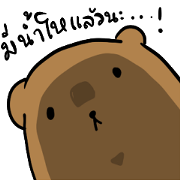 Weird Bear In Every Single Particle