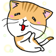 Silly Diary-The fat cat version