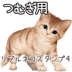 Tsumugi Real pretty cats 4
