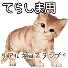 Terashima Real pretty cats 4