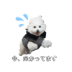 Chisa_20210220183632