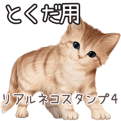 Tokuda Real pretty cats 4