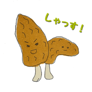 everyday! mushroom! vol.1