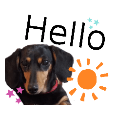 Michiko_20210220220538