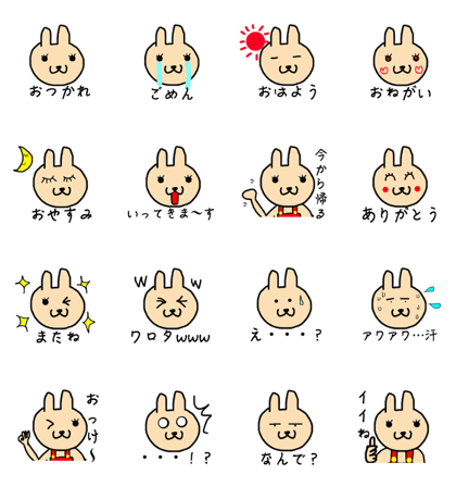 Hirochan of rabbit