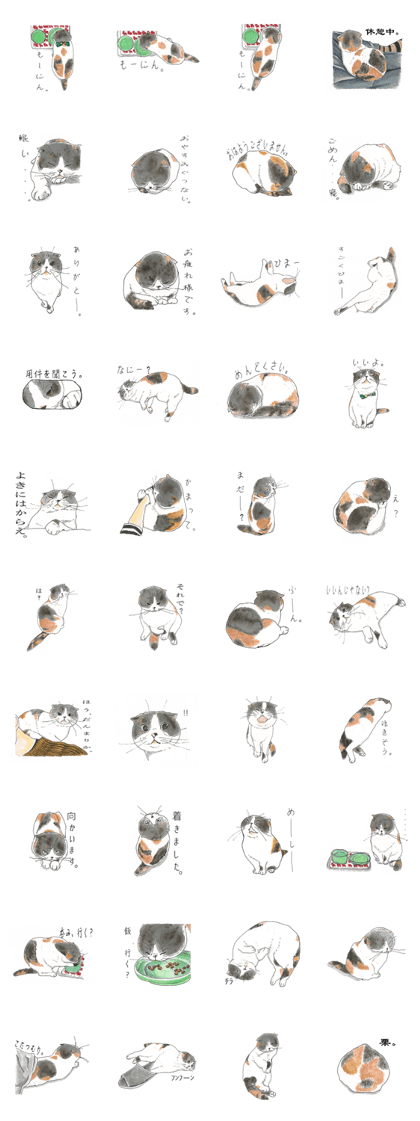 The fluffy cat "KINAKO"