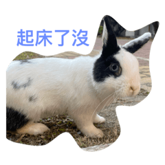 牛奶小朋友