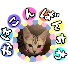 aoi_20210221134058
