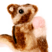 cute animals with kuuchan