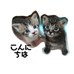 ayumi_20210221142651