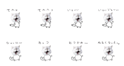Moon-faced Persian cat Riki Ver.2