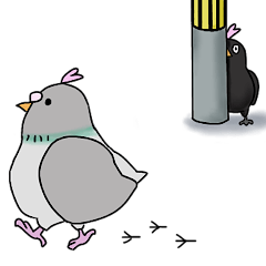 Pigeon's Popoo2
