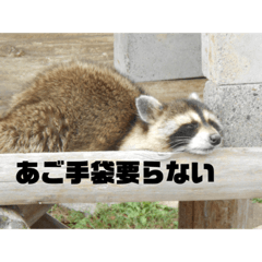 cherry_20210221150131