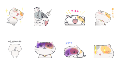 Calico cat tama