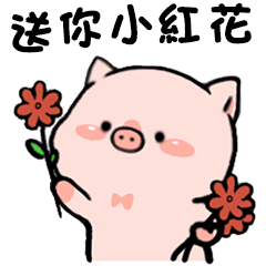 Practical daily life of cute piglets