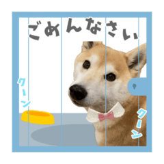 yokko_nana