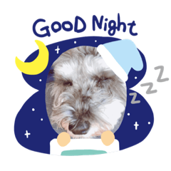 ringo_20210221162259