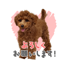 chie_20210221162231