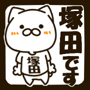 TUKADA-cat