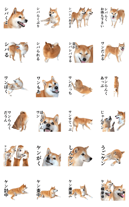 shiba inu and daily life3 (pun)