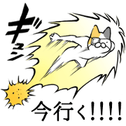 Let's use it everyday! sophomoric cat