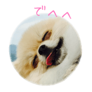 mamezo sticker