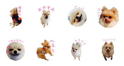 mamezo sticker