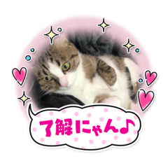 ayumi_20210221165543