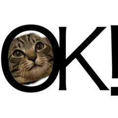 mizuki_20210221173710