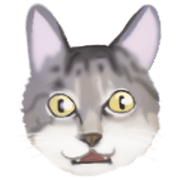 Dumbfounded cat