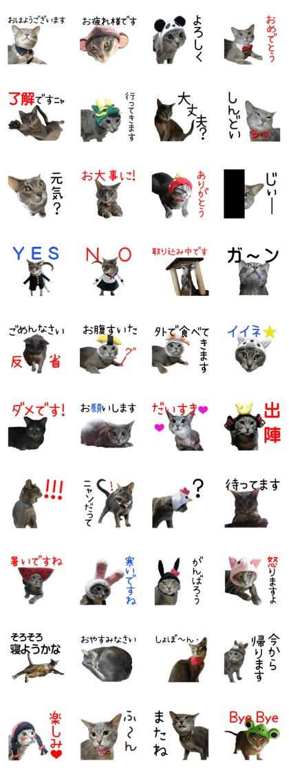 Cosplay cat's depression
