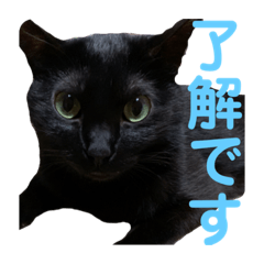 masakazu yamamoto_20210221202533