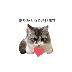 nozomi_20210221220853