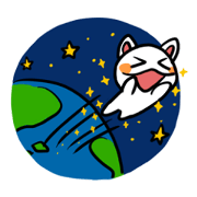 chovy cat