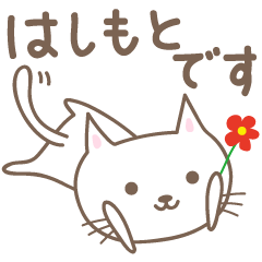 はしもとさんネコ cat for Hashimoto