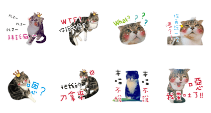DondongMaini'chi