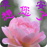 Flowers-2