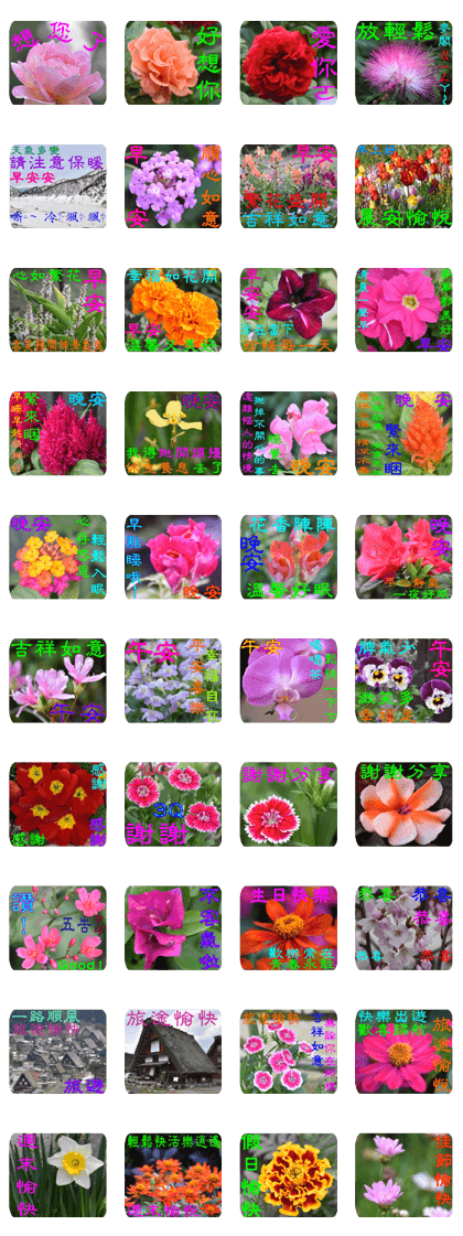 Flowers-2