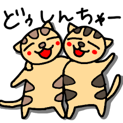 Taigers Cat Toto and Rara in Okinawa