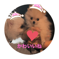 haruna_20210221210259