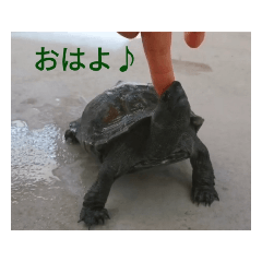 marumaru_20210221215054