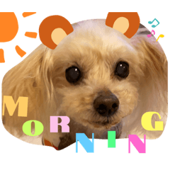 Yuina_20210221230421