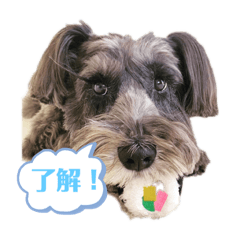 yuka_20210221232014