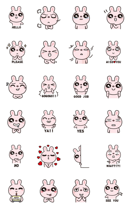 Toto the Rabbit Says Hi