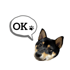 Shiba Inu konatu of Stamp