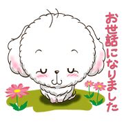 <Kawaii>White Dog's Sticker 3rd